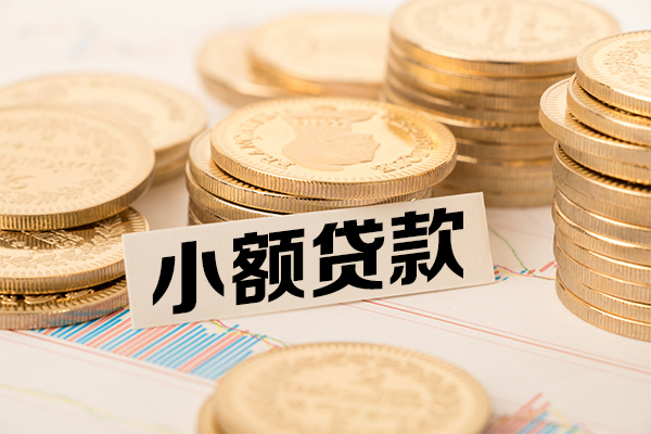 东莞东城区小额贷款当天放款-东莞东城区哪里可以信用贷款-东莞东城区民间借贷